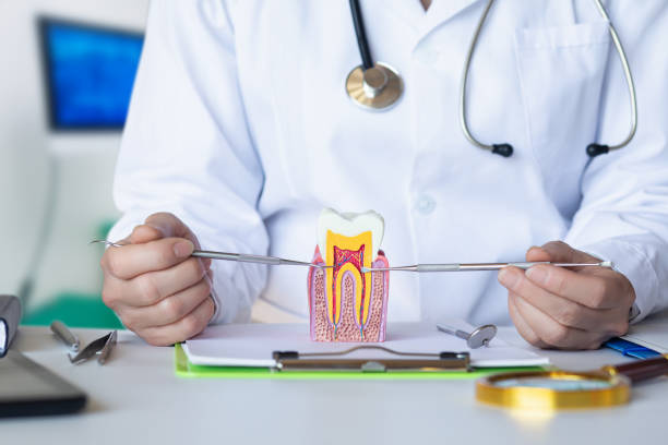 Best Broken or Chipped Tooth Repair in Waveland, MS